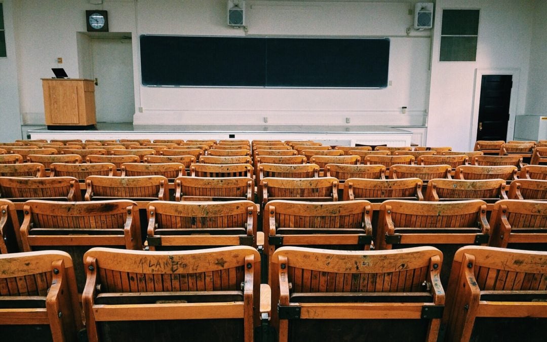 Next Steps for the Teaching Excellence Task Force