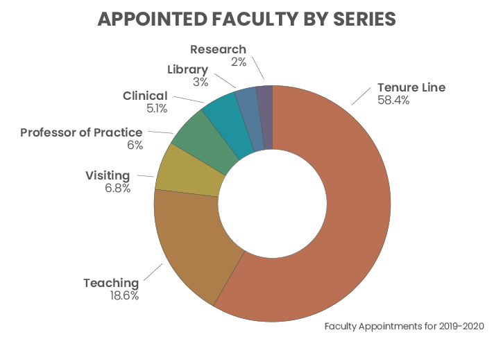 Appointed Faculty by Series pie chart
