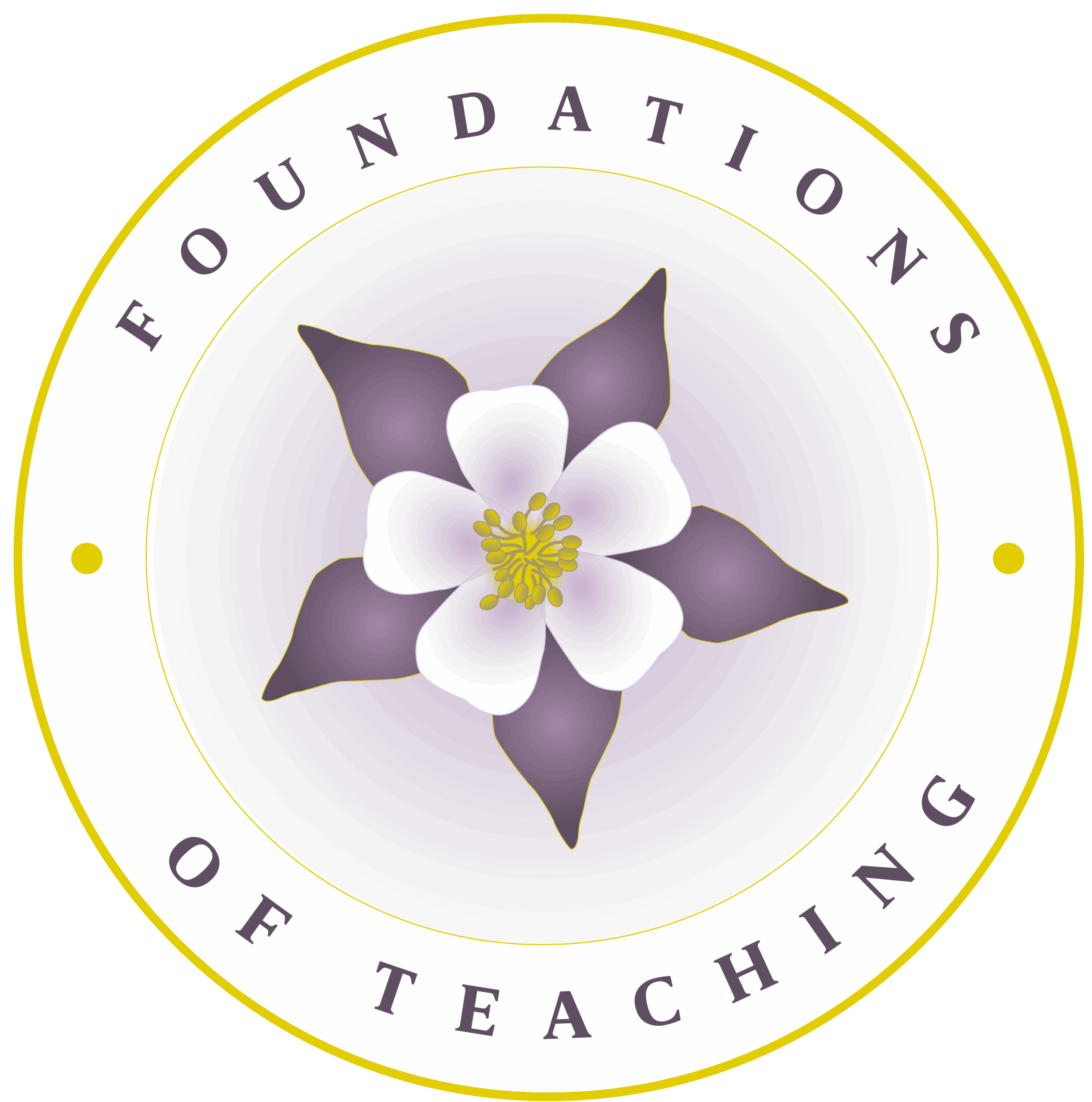 Foundations of Teaching Logo Foundations of Teaching logo